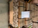RAUS-VERKAUF, Stockschrauben verzinkt 12 x 500 mm Palette 74